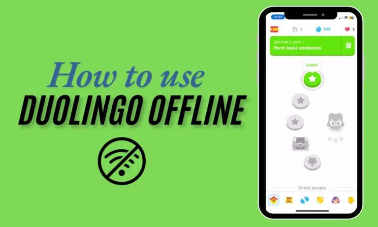 Duolingo offline